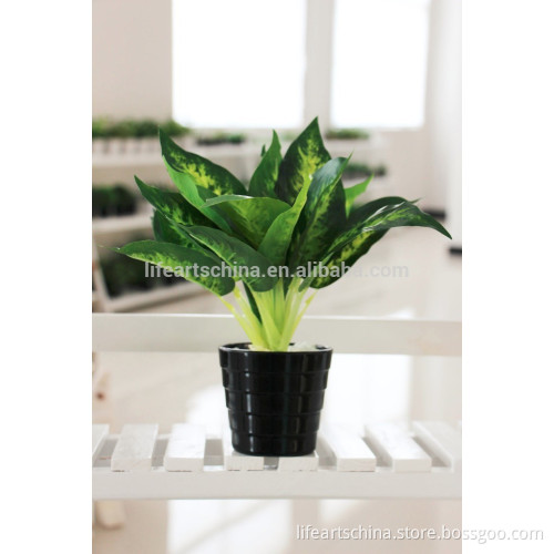 cheap mini plant, leaf plan, 30cm plastic dieffenbachia 16 leaves, small bonsai, artificial bush